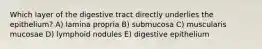 Which layer of the digestive tract directly underlies the epithelium? A) lamina propria B) submucosa C) muscularis mucosae D) lymphoid nodules E) digestive epithelium