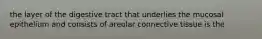 the layer of the digestive tract that underlies the mucosal epithelium and consists of areolar connective tissue is the