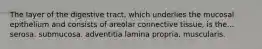 The layer of the digestive tract, which underlies the mucosal epithelium and consists of areolar connective tissue, is the... serosa. submucosa. adventitia lamina propria. muscularis.
