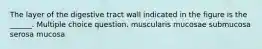 The layer of the digestive tract wall indicated in the figure is the ______. Multiple choice question. muscularis mucosae submucosa serosa mucosa