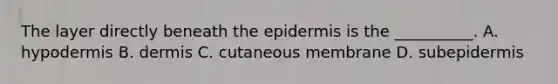 The layer directly beneath the epidermis is the __________. A. hypodermis B. dermis C. cutaneous membrane D. subepidermis