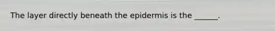 The layer directly beneath the epidermis is the ______.