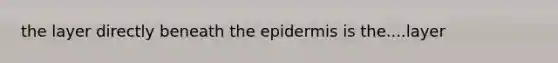 the layer directly beneath the epidermis is the....layer