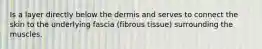 Is a layer directly below the dermis and serves to connect the skin to the underlying fascia (fibrous tissue) surrounding the muscles.