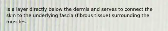 Is a layer directly below the dermis and serves to connect the skin to the underlying fascia (fibrous tissue) surrounding the muscles.