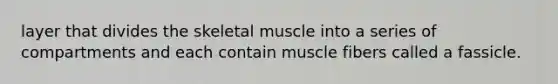 layer that divides the skeletal muscle into a series of compartments and each contain muscle fibers called a fassicle.