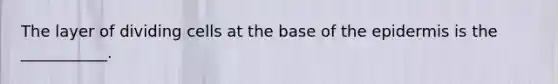 The layer of dividing cells at the base of the epidermis is the ___________.