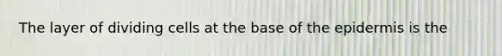 The layer of dividing cells at the base of the epidermis is the