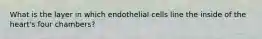 What is the layer in which endothelial cells line the inside of the heart's four chambers?