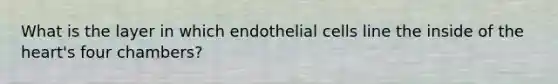 What is the layer in which endothelial cells line the inside of the heart's four chambers?