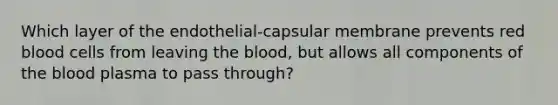 Which layer of the endothelial-capsular membrane prevents red blood cells from leaving the blood, but allows all components of the blood plasma to pass through?