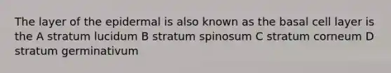 The layer of the epidermal is also known as the basal cell layer is the A stratum lucidum B stratum spinosum C stratum corneum D stratum germinativum