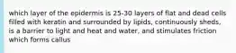 which layer of the epidermis is 25-30 layers of flat and dead cells filled with keratin and surrounded by lipids, continuously sheds, is a barrier to light and heat and water, and stimulates friction which forms callus