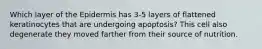 Which layer of the Epidermis has 3-5 layers of flattened keratinocytes that are undergoing apoptosis? This cell also degenerate they moved farther from their source of nutrition.