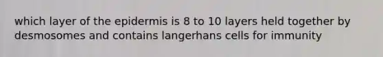 which layer of the epidermis is 8 to 10 layers held together by desmosomes and contains langerhans cells for immunity