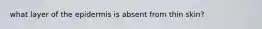 what layer of the epidermis is absent from thin skin?