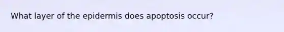 What layer of the epidermis does apoptosis occur?