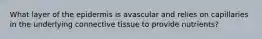 What layer of the epidermis is avascular and relies on capillaries in the underlying connective tissue to provide nutrients?