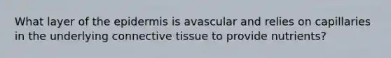 What layer of the epidermis is avascular and relies on capillaries in the underlying connective tissue to provide nutrients?