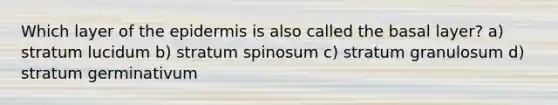 Which layer of the epidermis is also called the basal layer? a) stratum lucidum b) stratum spinosum c) stratum granulosum d) stratum germinativum