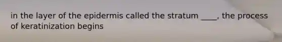 in the layer of the epidermis called the stratum ____, the process of keratinization begins