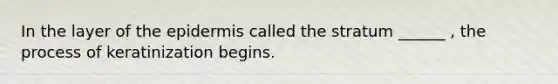 In the layer of <a href='https://www.questionai.com/knowledge/kBFgQMpq6s-the-epidermis' class='anchor-knowledge'>the epidermis</a> called the stratum ______ , the process of keratinization begins.