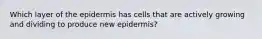 Which layer of the epidermis has cells that are actively growing and dividing to produce new epidermis?