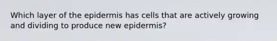 Which layer of the epidermis has cells that are actively growing and dividing to produce new epidermis?