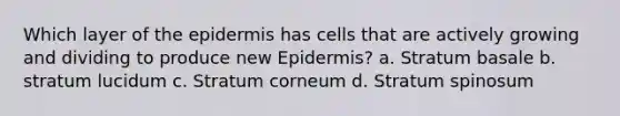 Which layer of the epidermis has cells that are actively growing and dividing to produce new Epidermis? a. Stratum basale b. stratum lucidum c. Stratum corneum d. Stratum spinosum