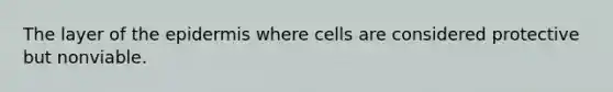 The layer of <a href='https://www.questionai.com/knowledge/kBFgQMpq6s-the-epidermis' class='anchor-knowledge'>the epidermis</a> where cells are considered protective but nonviable.