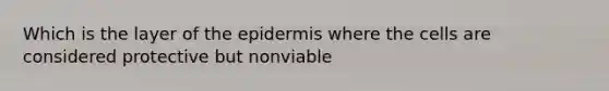 Which is the layer of the epidermis where the cells are considered protective but nonviable