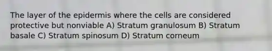 The layer of the epidermis where the cells are considered protective but nonviable A) Stratum granulosum B) Stratum basale C) Stratum spinosum D) Stratum corneum