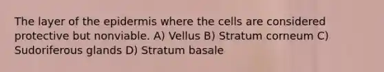 The layer of the epidermis where the cells are considered protective but nonviable. A) Vellus B) Stratum corneum C) Sudoriferous glands D) Stratum basale