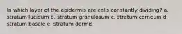 In which layer of the epidermis are cells constantly dividing? a. stratum lucidum b. stratum granulosum c. stratum corneum d. stratum basale e. stratum dermis