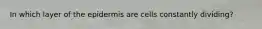 In which layer of the epidermis are cells constantly dividing?