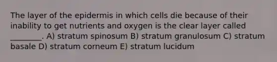 The layer of <a href='https://www.questionai.com/knowledge/kBFgQMpq6s-the-epidermis' class='anchor-knowledge'>the epidermis</a> in which cells die because of their inability to get nutrients and oxygen is the clear layer called ________. A) stratum spinosum B) stratum granulosum C) stratum basale D) stratum corneum E) stratum lucidum