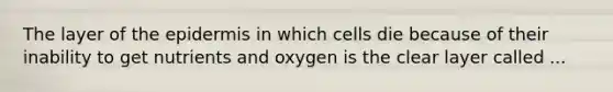 The layer of <a href='https://www.questionai.com/knowledge/kBFgQMpq6s-the-epidermis' class='anchor-knowledge'>the epidermis</a> in which cells die because of their inability to get nutrients and oxygen is the clear layer called ...