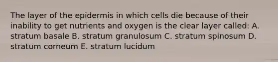 The layer of the epidermis in which cells die because of their inability to get nutrients and oxygen is the clear layer called: A. stratum basale B. stratum granulosum C. stratum spinosum D. stratum corneum E. stratum lucidum