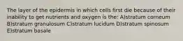 The layer of the epidermis in which cells first die because of their inability to get nutrients and oxygen is the: A)stratum corneum B)stratum granulosum C)stratum lucidum D)stratum spinosum E)stratum basale