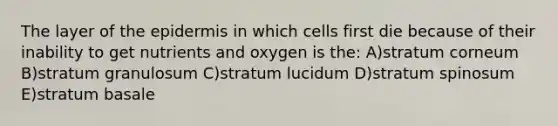 The layer of the epidermis in which cells first die because of their inability to get nutrients and oxygen is the: A)stratum corneum B)stratum granulosum C)stratum lucidum D)stratum spinosum E)stratum basale