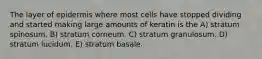 The layer of epidermis where most cells have stopped dividing and started making large amounts of keratin is the A) stratum spinosum. B) stratum corneum. C) stratum granulosum. D) stratum lucidum. E) stratum basale.