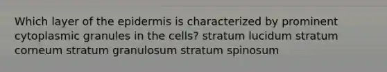 Which layer of <a href='https://www.questionai.com/knowledge/kBFgQMpq6s-the-epidermis' class='anchor-knowledge'>the epidermis</a> is characterized by prominent cytoplasmic granules in the cells? stratum lucidum stratum corneum stratum granulosum stratum spinosum