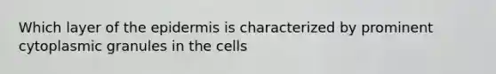 Which layer of the epidermis is characterized by prominent cytoplasmic granules in the cells