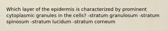 Which layer of the epidermis is characterized by prominent cytoplasmic granules in the cells? -stratum granulosum -stratum spinosum -stratum lucidum -stratum corneum