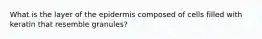 What is the layer of the epidermis composed of cells filled with keratin that resemble granules?