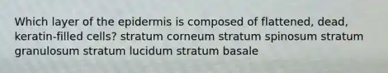 Which layer of <a href='https://www.questionai.com/knowledge/kBFgQMpq6s-the-epidermis' class='anchor-knowledge'>the epidermis</a> is composed of flattened, dead, keratin-filled cells? stratum corneum stratum spinosum stratum granulosum stratum lucidum stratum basale