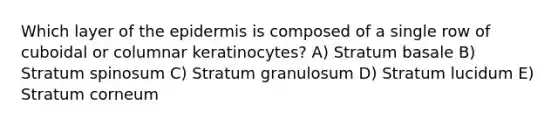 Which layer of the epidermis is composed of a single row of cuboidal or columnar keratinocytes? A) Stratum basale B) Stratum spinosum C) Stratum granulosum D) Stratum lucidum E) Stratum corneum