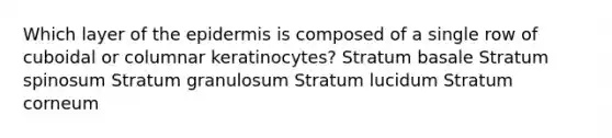 Which layer of the epidermis is composed of a single row of cuboidal or columnar keratinocytes? Stratum basale Stratum spinosum Stratum granulosum Stratum lucidum Stratum corneum