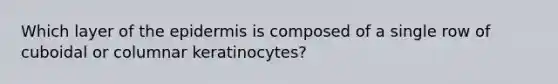 Which layer of the epidermis is composed of a single row of cuboidal or columnar keratinocytes?