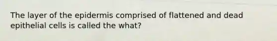 The layer of the epidermis comprised of flattened and dead epithelial cells is called the what?